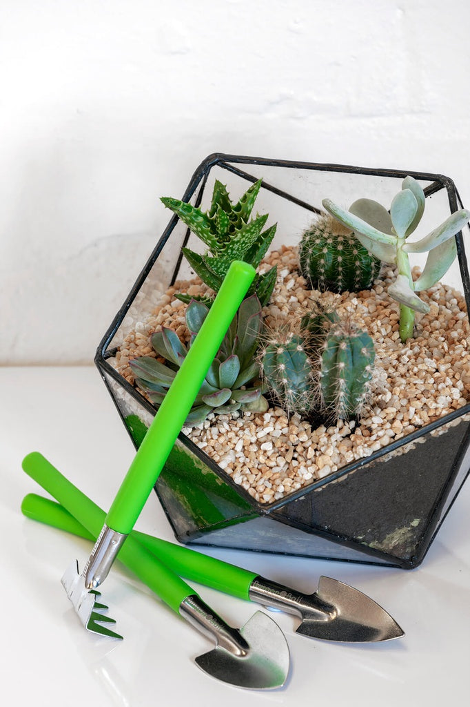 Terrarium Tool Set