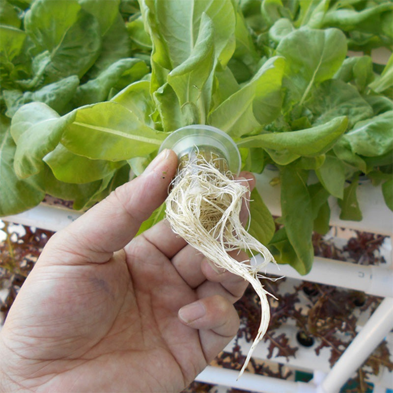 Hydroponic Grow Vegetable Garden 108 Plants