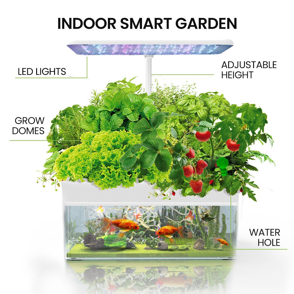 Hydroponics Growing System - Propagation supplies Australia