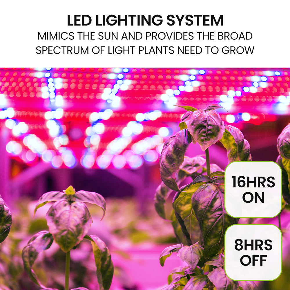 Hydroponics Growing System - Propagation supplies Australia