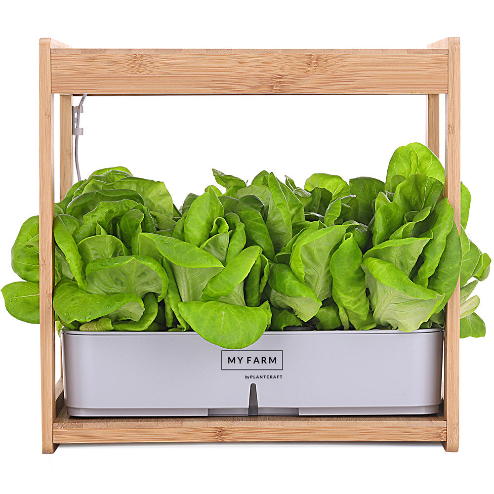 Australia delivery Hydroponic Growing System with Bamboo Frame 12 Pod