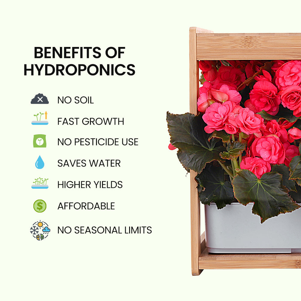 Hydroponics Growing System - Propagation supplies Australia