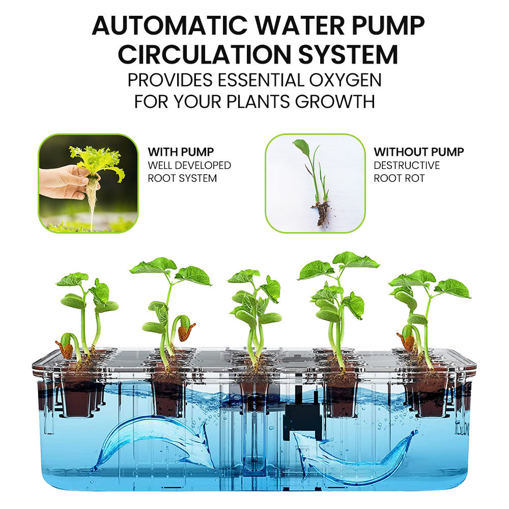 Hydroponics Growing System - Propagation supplies Australia
