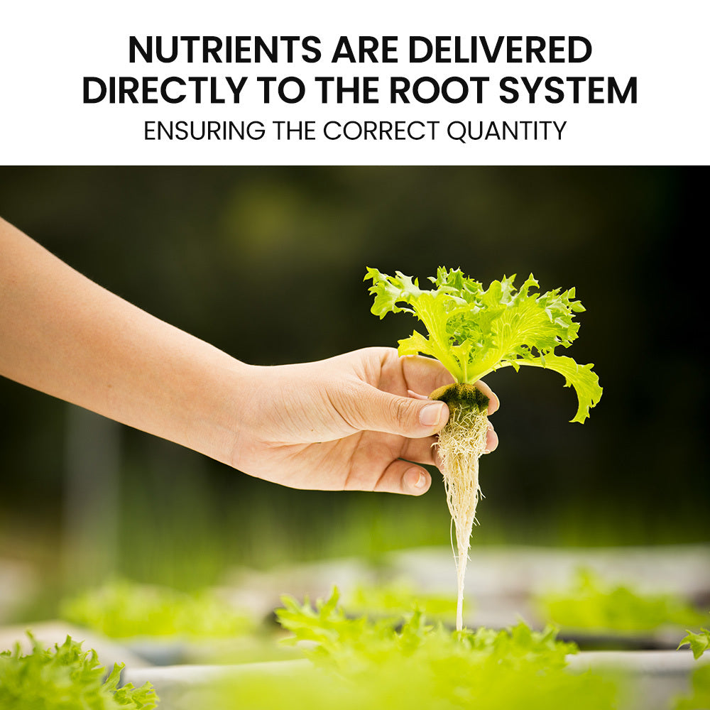 Hydroponics Growing System - Propagation supplies Australia