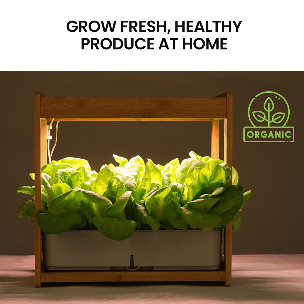 Hydroponics Growing System - Propagation supplies Australia