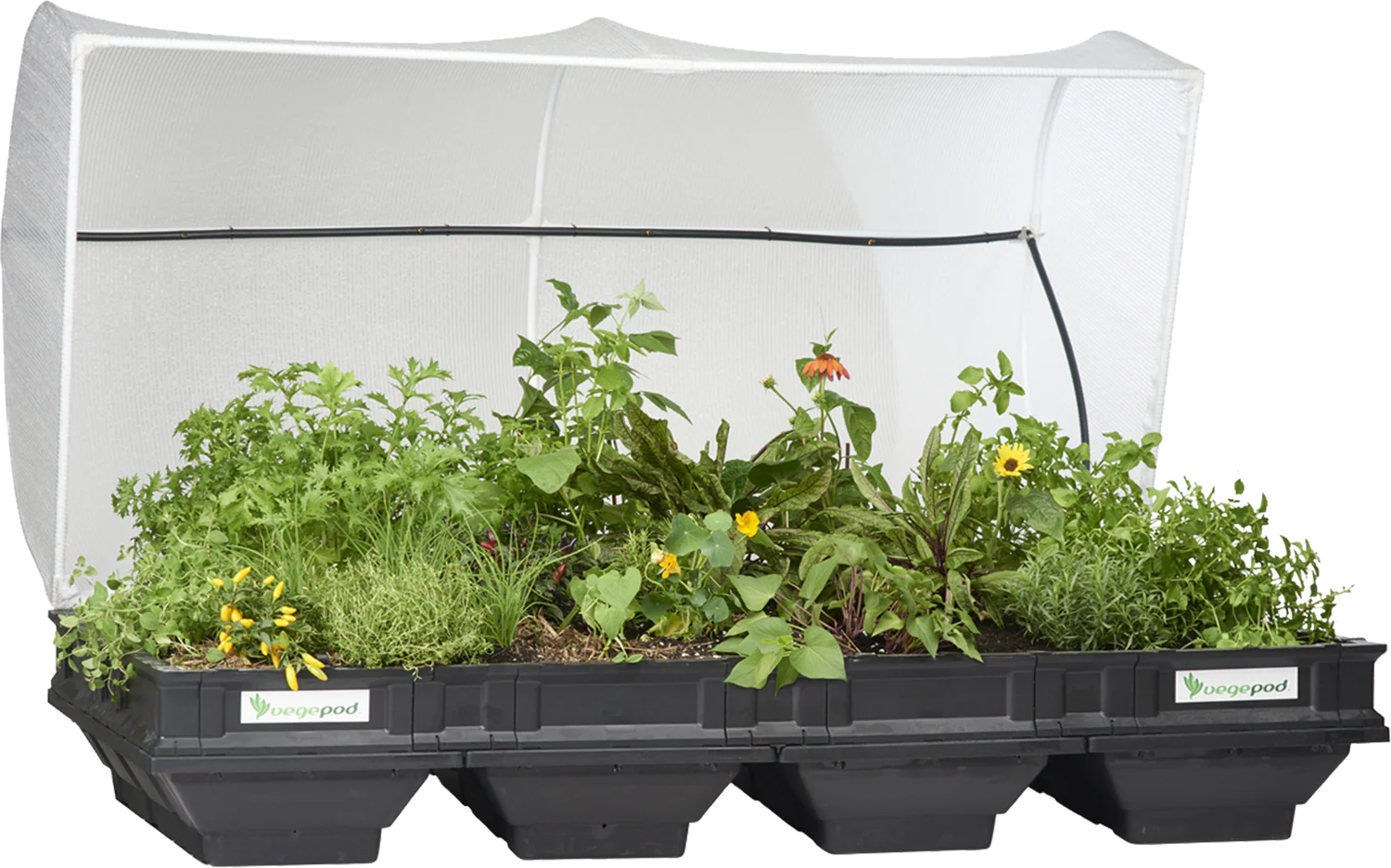 plastic raised garden beds in australia