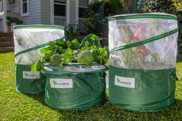 Vegepod Vegebag portable garden solution