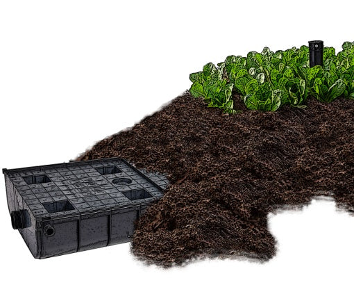 Wicking beds australia