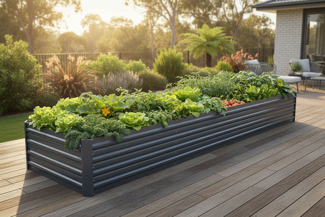 Greenfingers 2-in-1 galvanised steel raised garden bed in aluminium grey styled in an Australian backyard in full 3.2m configuration, filled with lush rows of vegetables, herbs and leafy greens in warm afternoon sunlight