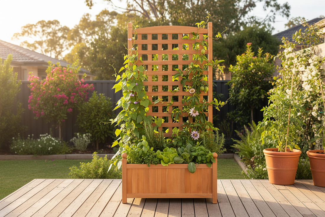 Greenfingers wooden raised garden bed with trellis styled in an Australian backyard, climbing beans and passionfruit vines on trellis, herbs and leafy greens in the bed below