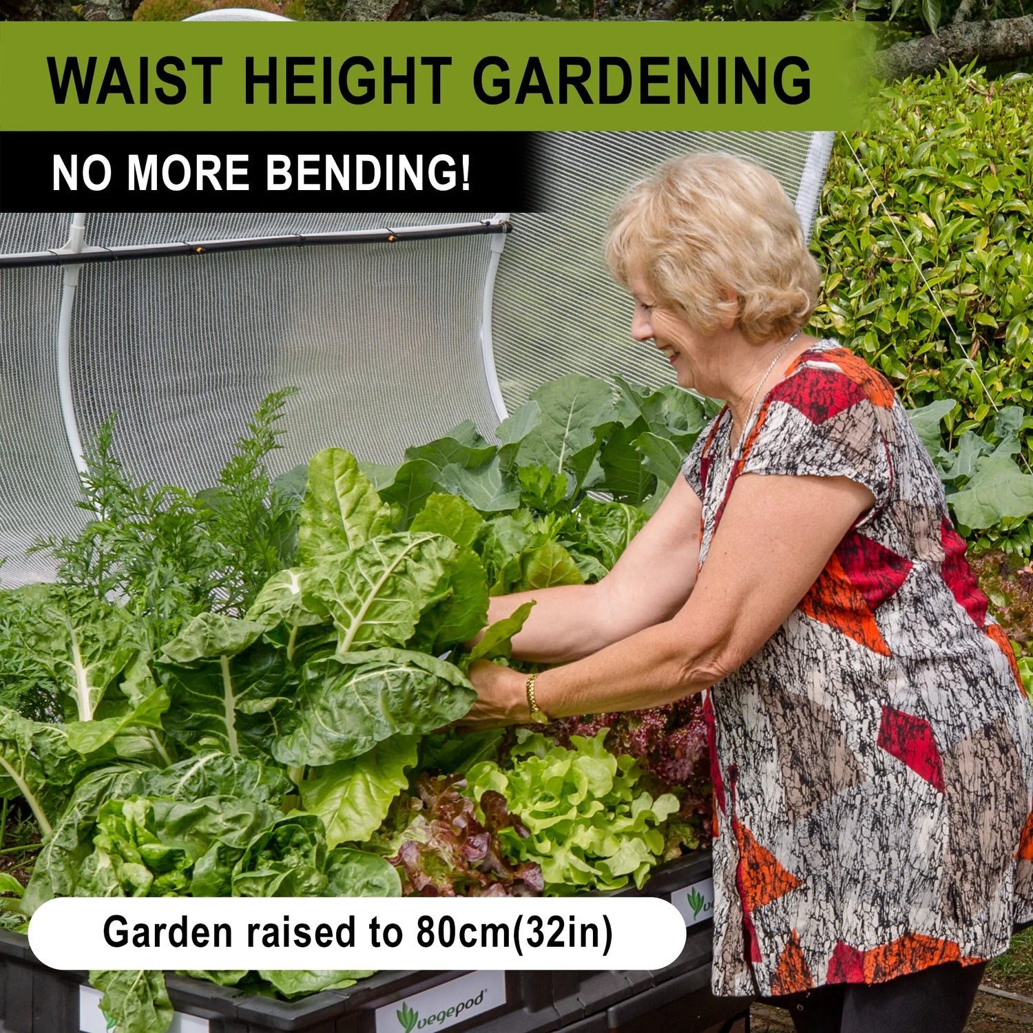 Vegepod Raised Garden Bed Medium 1m x 1m with VegeCover + Medium Stand