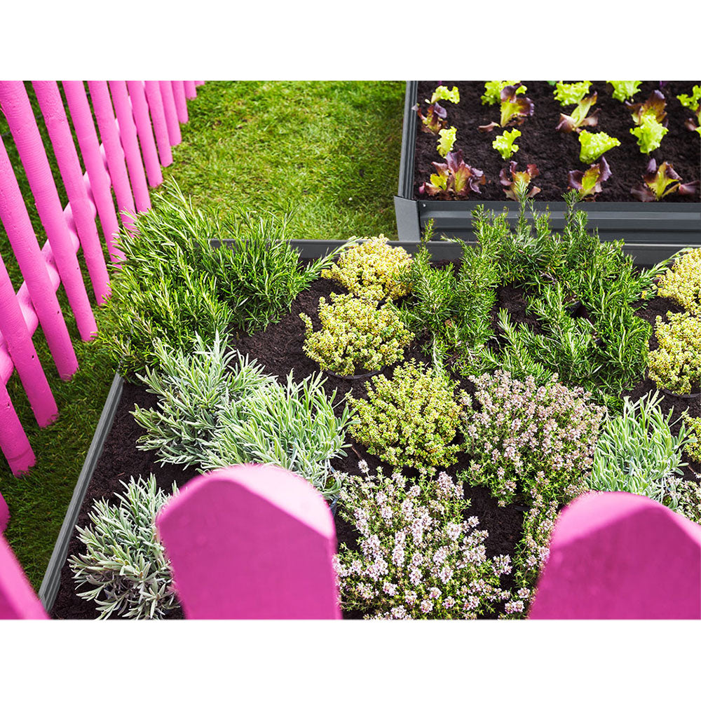 greenfingers steel garden beds planted with assorted plants and organic vegies