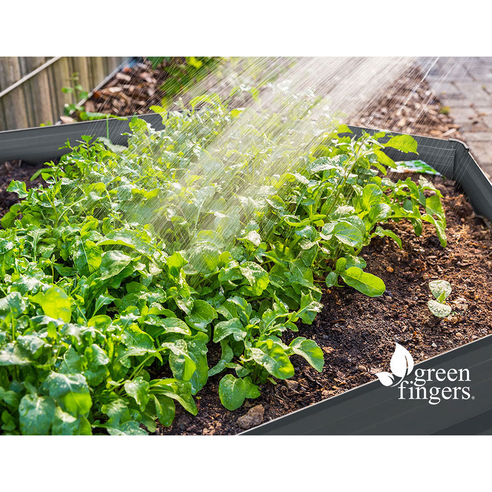 corrugated iron raised garden beds in Ausralia