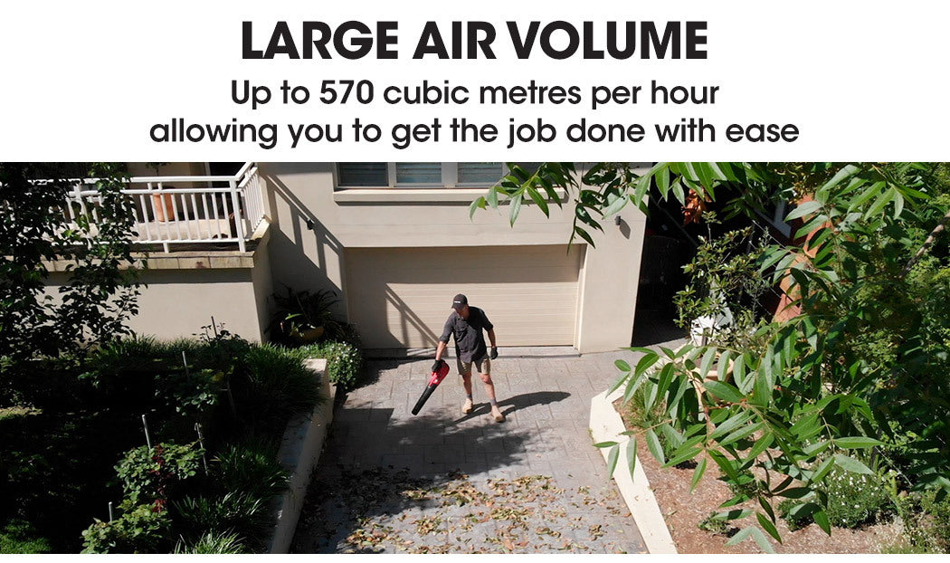 Baumr-AG | Cordless Leaf Blower 20v Lithium Battery