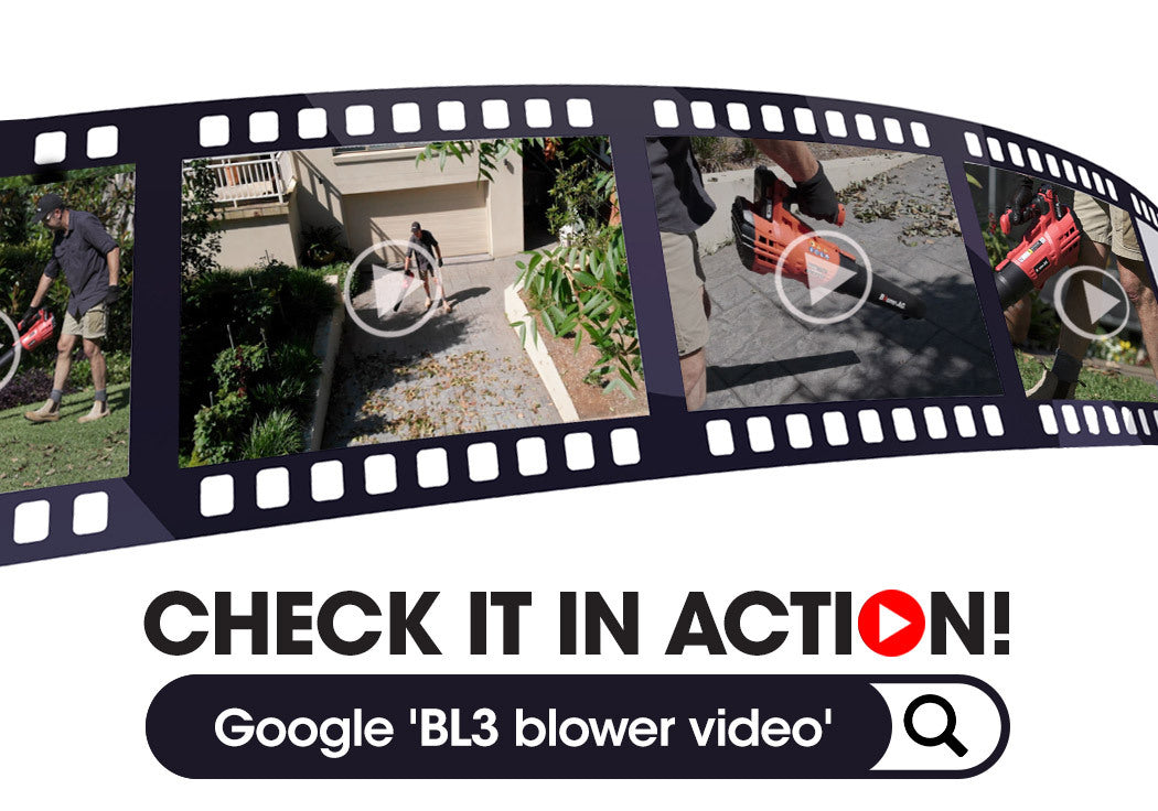 Baumr-AG | Cordless Leaf Blower 20v Lithium Battery