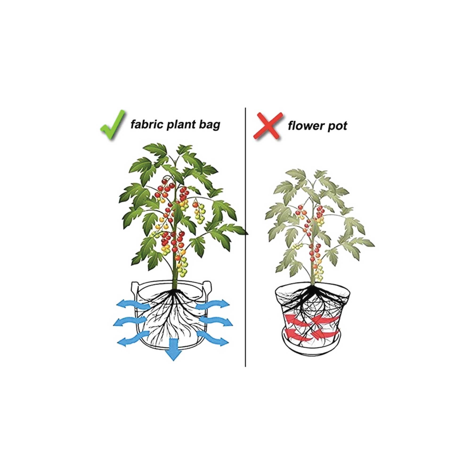 Grow Bags 3.8L - 6 pack