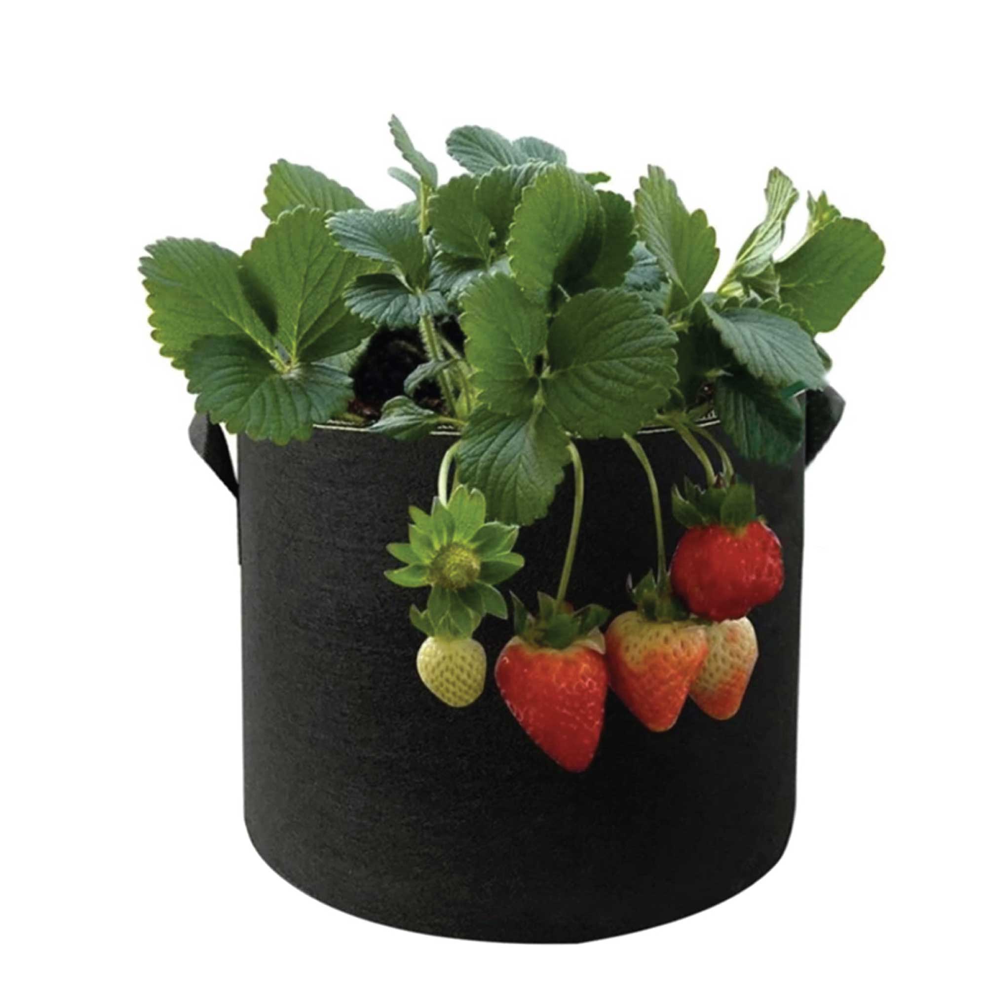Grow Bags 38L - 6 pack
