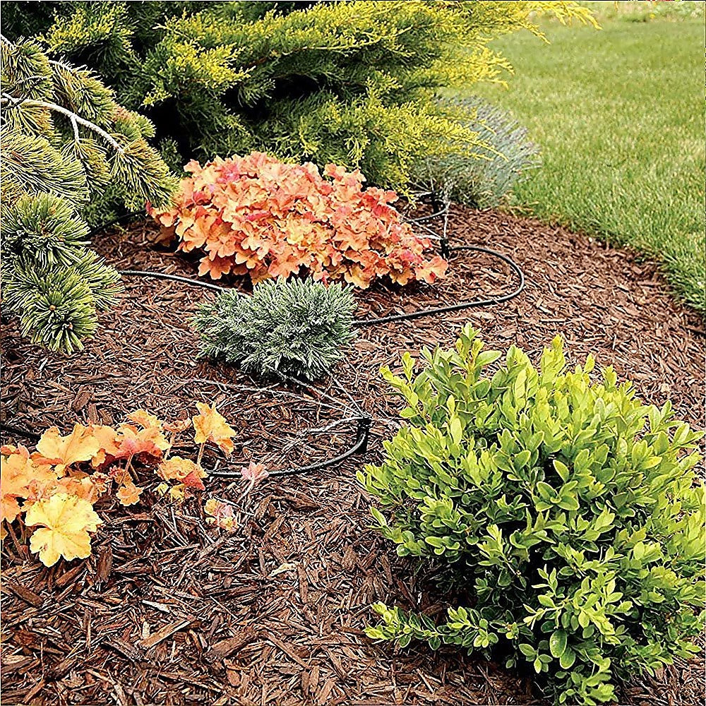 garden watered with garden irrigation system in Australia