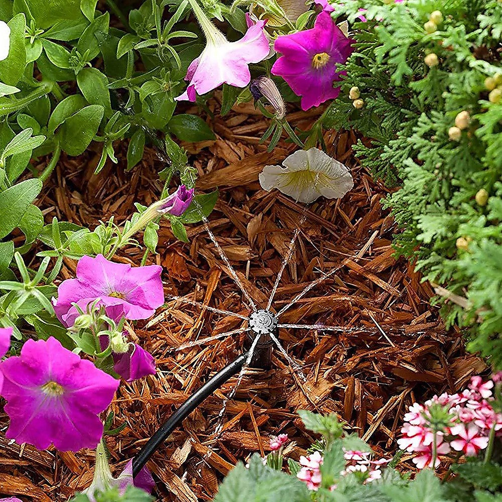 micro drips watering plant in australia