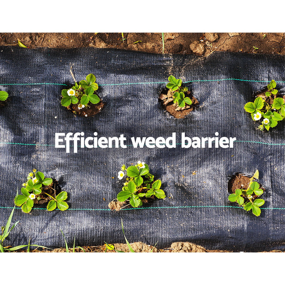 Weed Mat - 1.83m x 50m