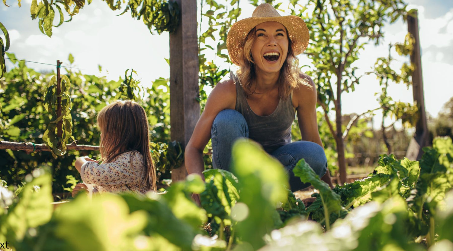 Wicking Beds: A Sustainable and Water-Efficient Gardening Solution