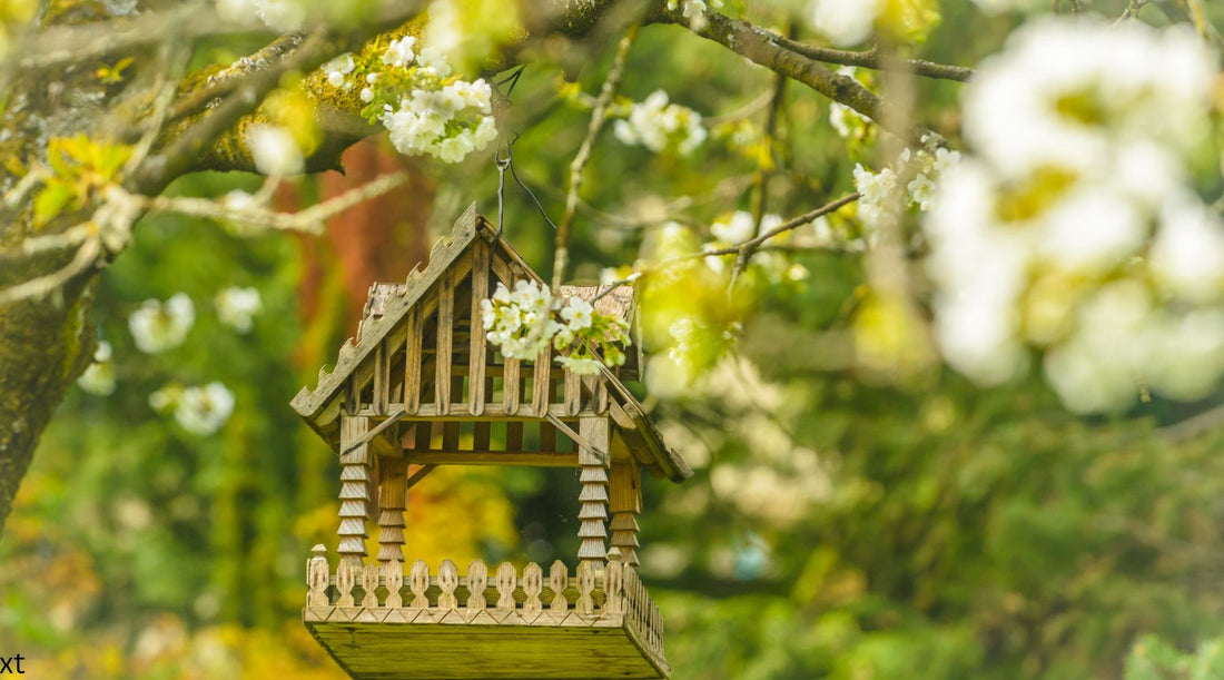 Bird Bath, Houses & Feeders