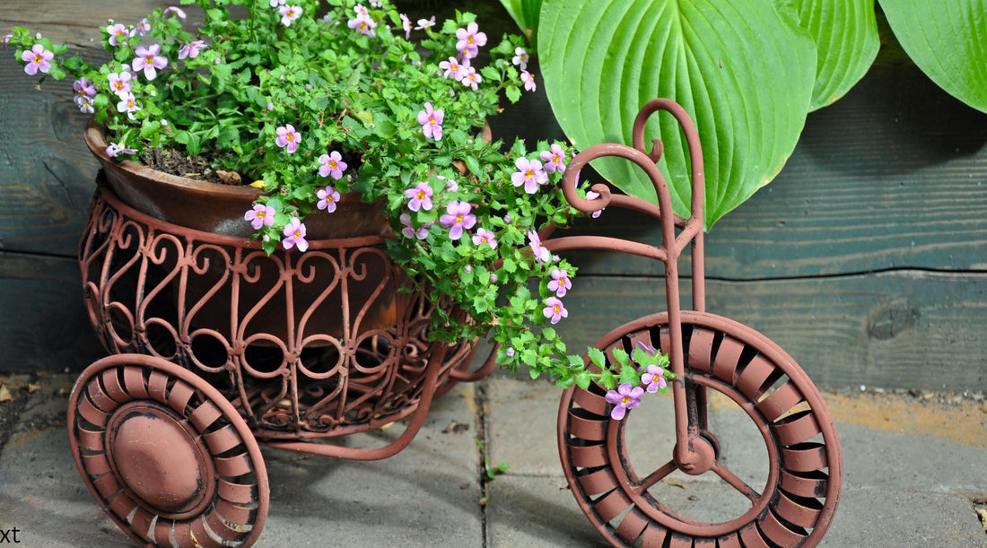 Decorative Planters Collection Australia