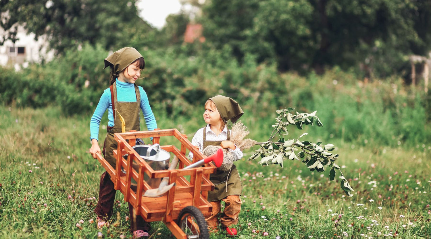 Garden Carts