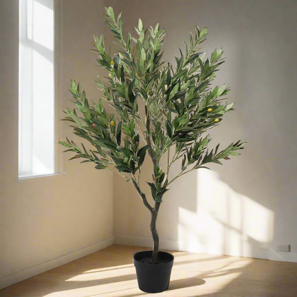 olive tree