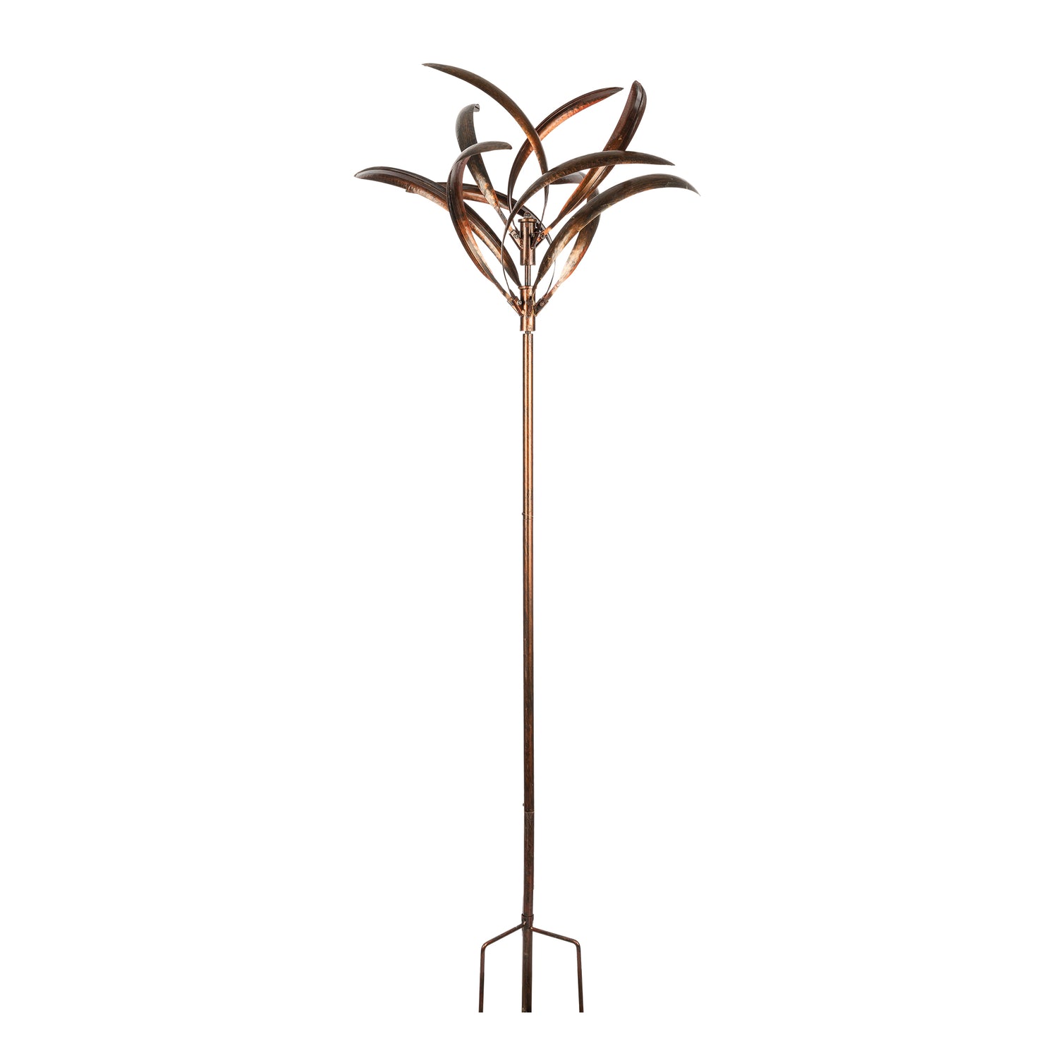 Wind Spinner Grevillea Bronze