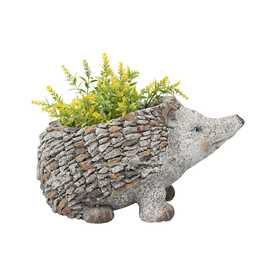 Stony Echidna Planter*
