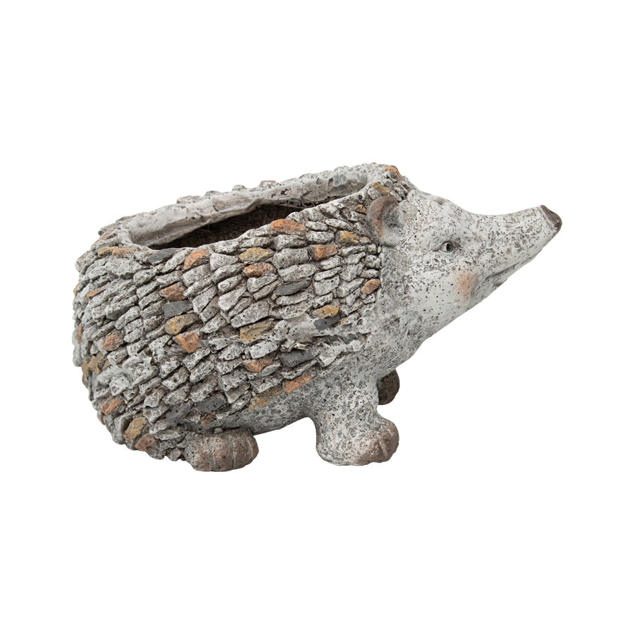 Stony Echidna Planter*
