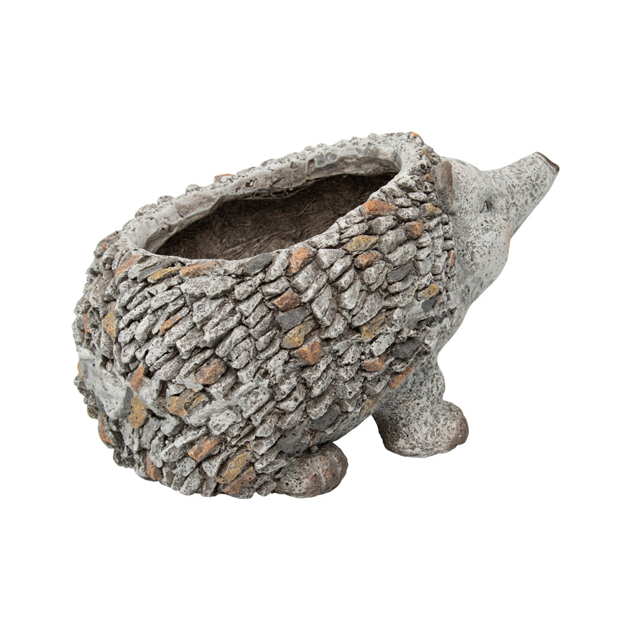 Stony Echidna Planter*