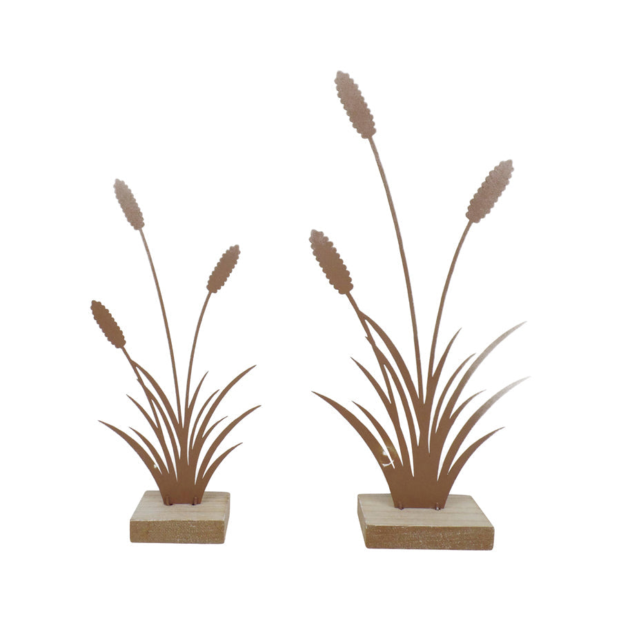 Set/2 Asst Size Rust Bulrushes on Base