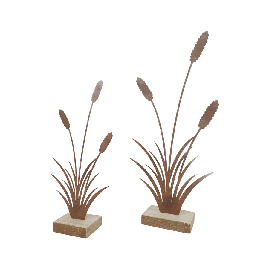 Set/2 Asst Size Rust Bulrushes on Base