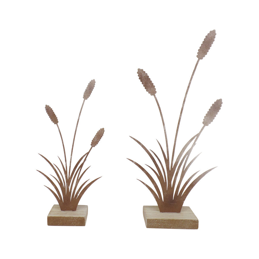 Set/2 Asst Size Rust Bulrushes on Base