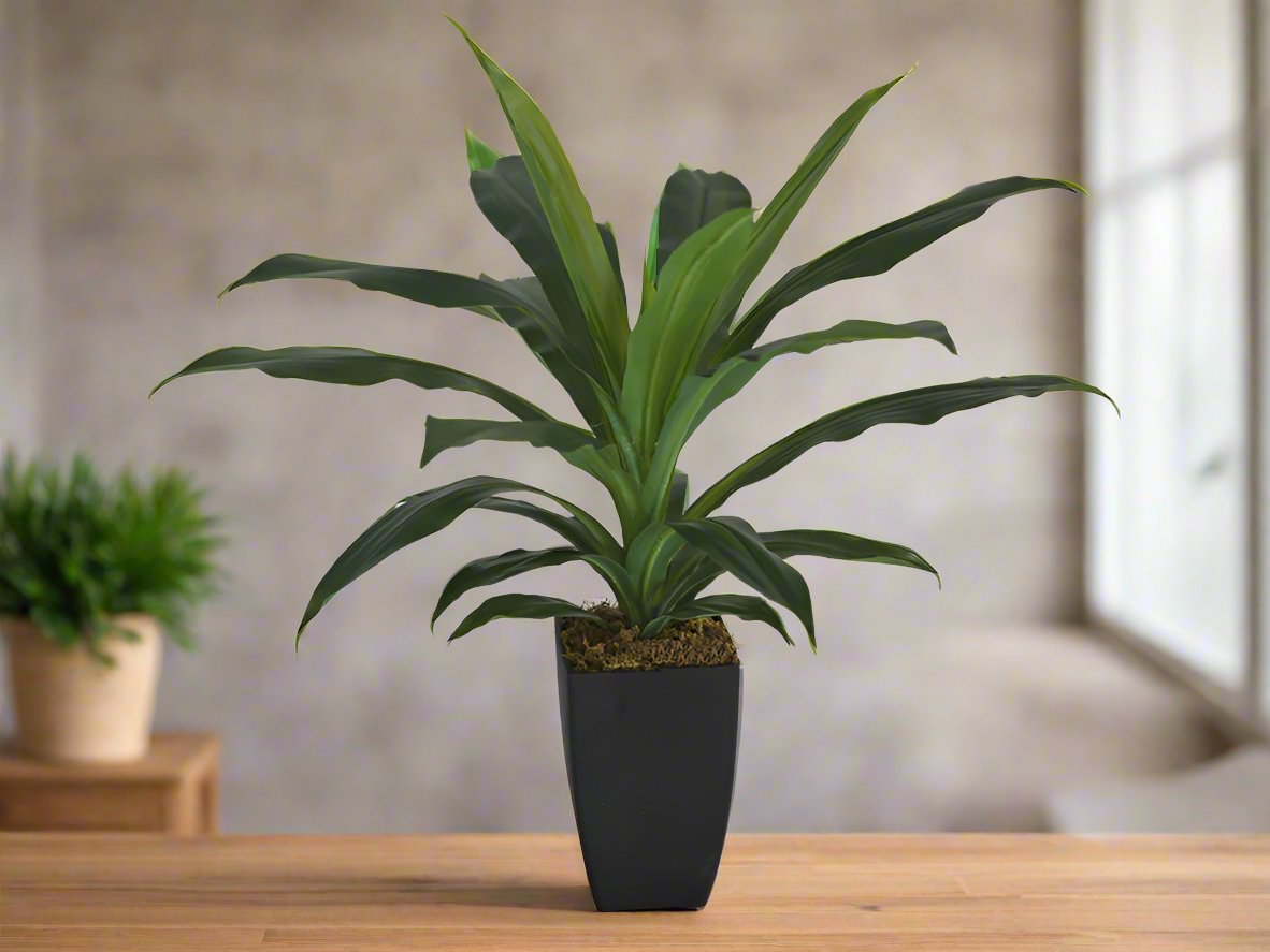 Willow &amp; Silk Artificial 58cm Green Dracaena Janet Craig w/ Pot