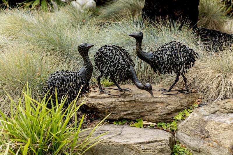 3 Piece Asstorted Emu Chicks