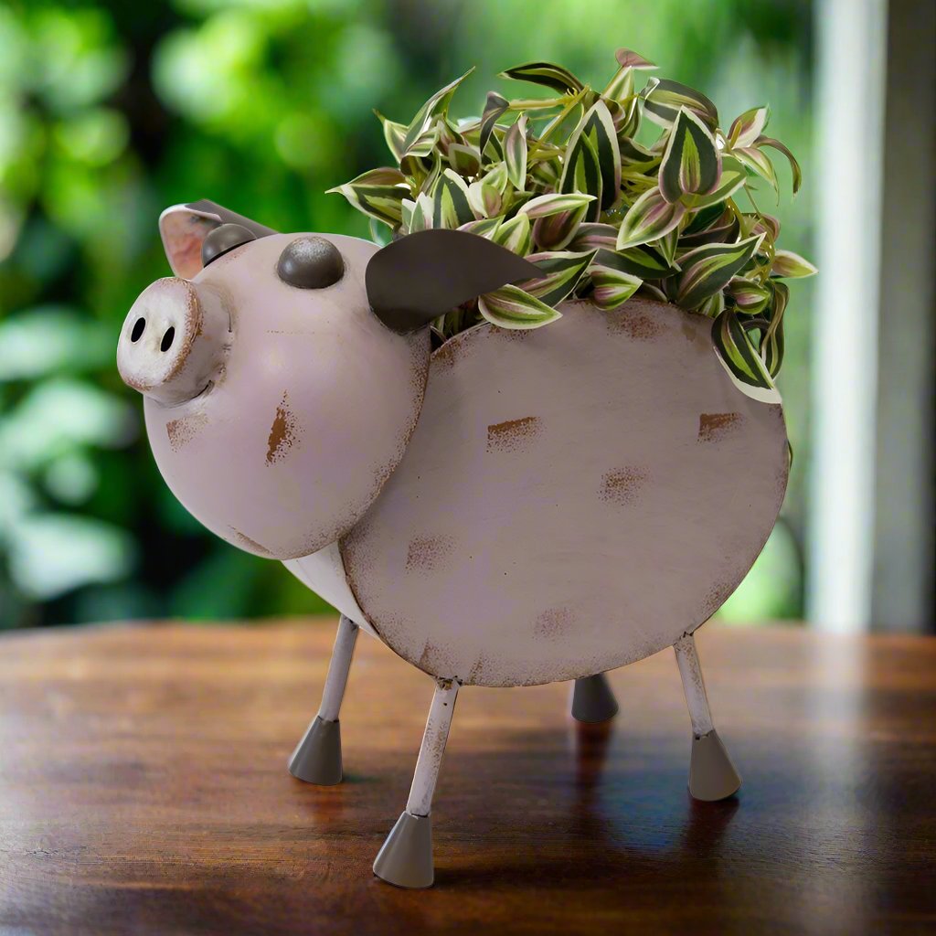      

Willow &amp; Silk Metal Pot Garden Glamour Pig Planter 