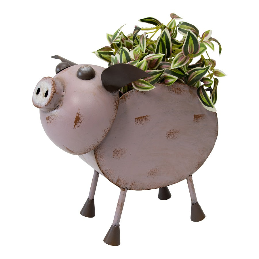 Glamour Pig Planter