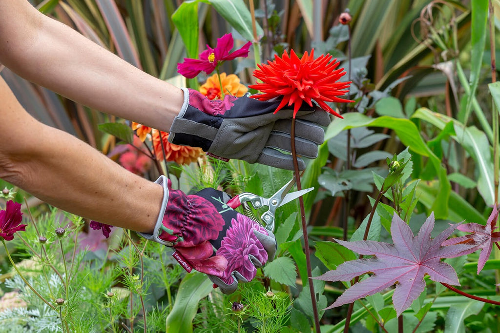 British Bloom Gloves - Red