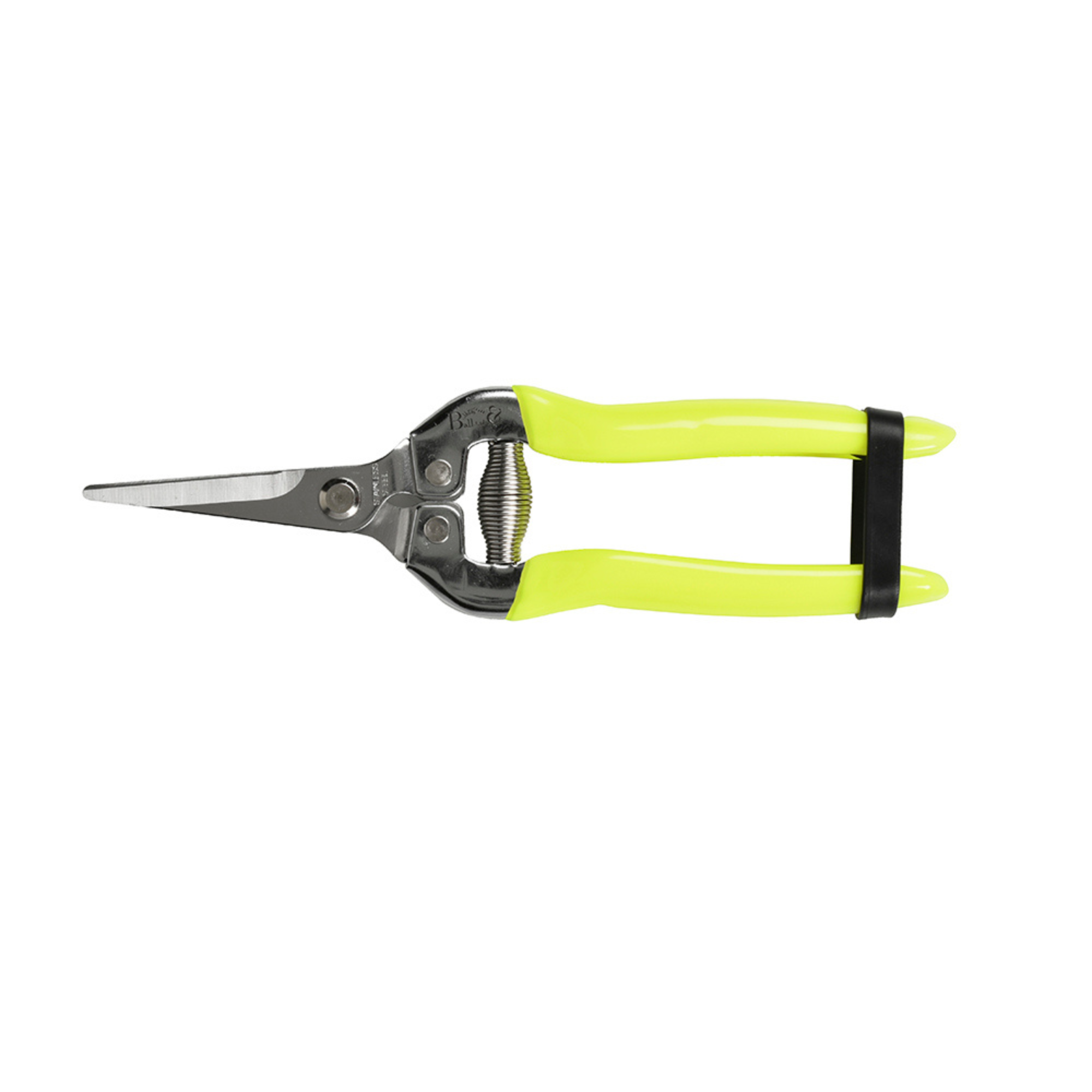Fluorescent Flower &amp; Fruit Snip