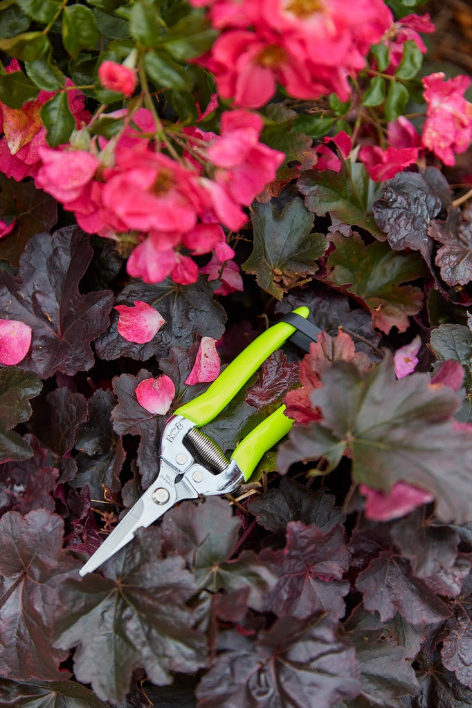 Burgon &amp; Ball | Fluorescent Flower &amp; Fruit Snip