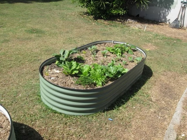 Australian made raised garden bed, custom made raised garden bed, corrugated raised garden bed, bluescope steel raised garden beds