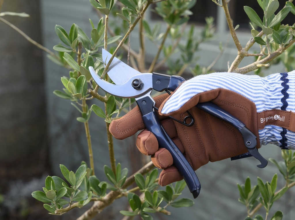 Collector Bypass Secateurs - Navy