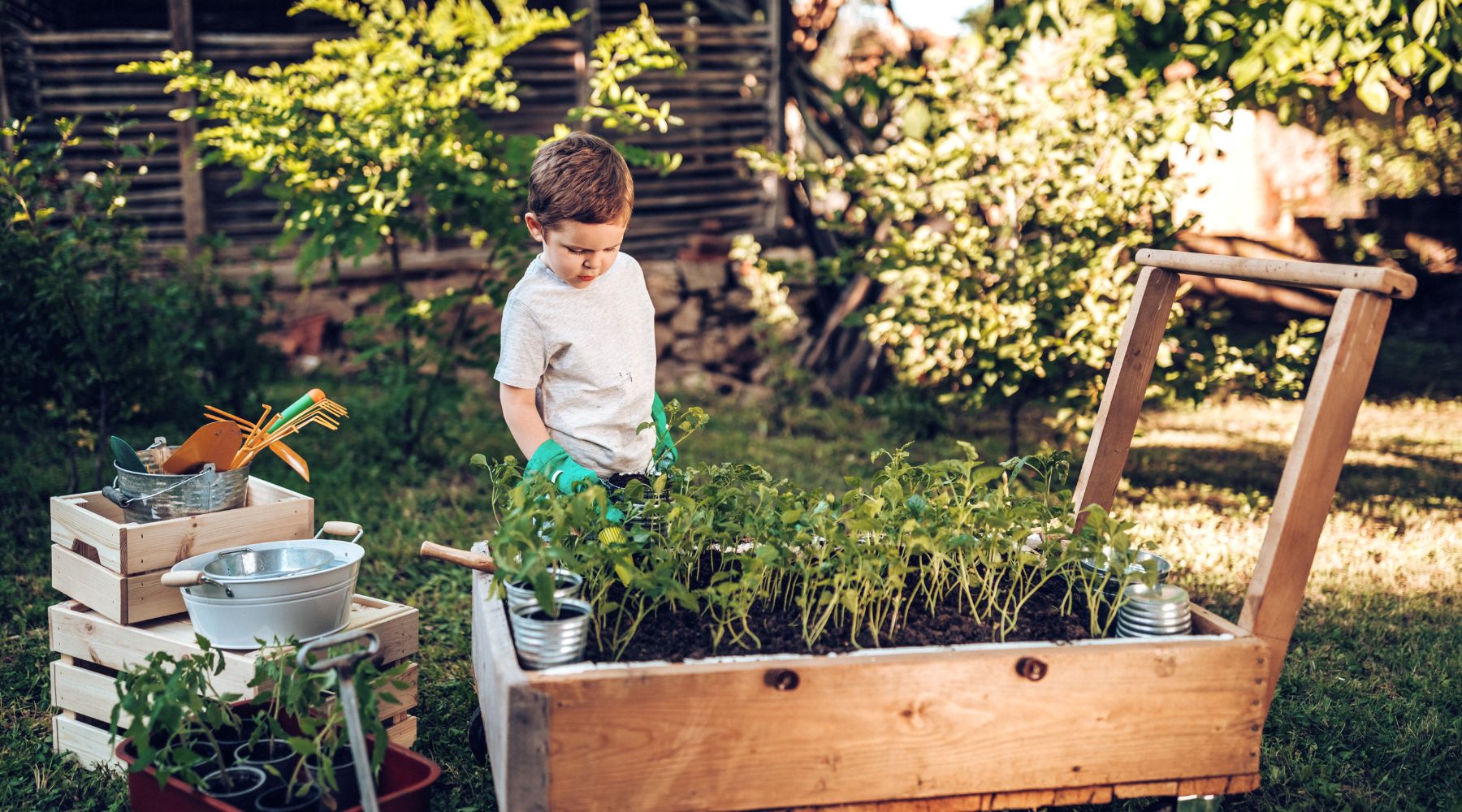 Boy doing his own gardening in a raised garden bed