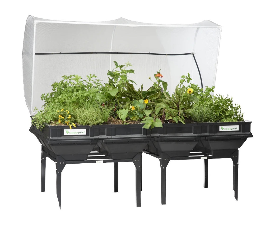 raised bed elevated australia