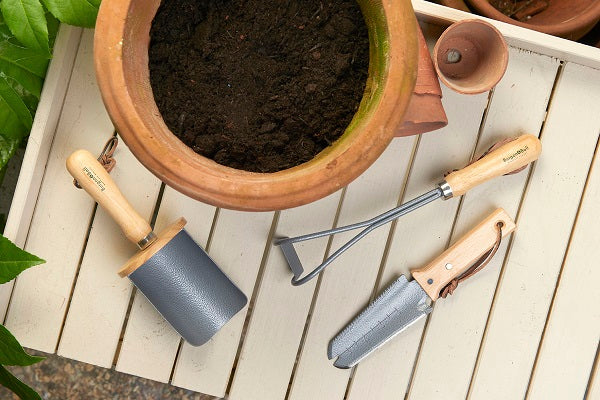 Burgon &amp; Ball | RHS Container Scoop