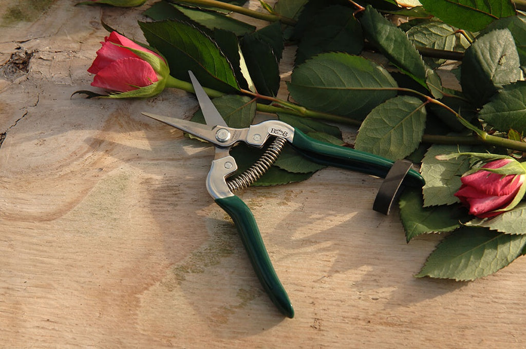 RHS Flower & Fruit Snip