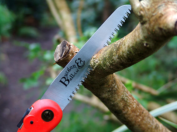 Burgon &amp; Ball | RHS Folding Pruning Saw